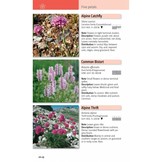A Field Guide to the Flowers of the Alps - Identify over 500 Species