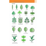 A Field Guide to the Flowers of the Alps - Identify over 500 Species