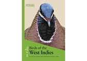 Birds of the West Indies