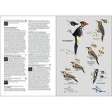 Birds of the West Indies