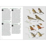 Birds of the West Indies