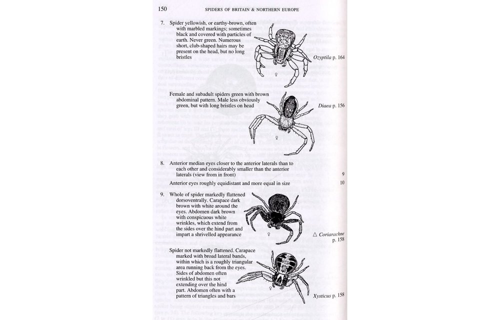 Collins Field Guide of Spiders of Britain and Northern Europe