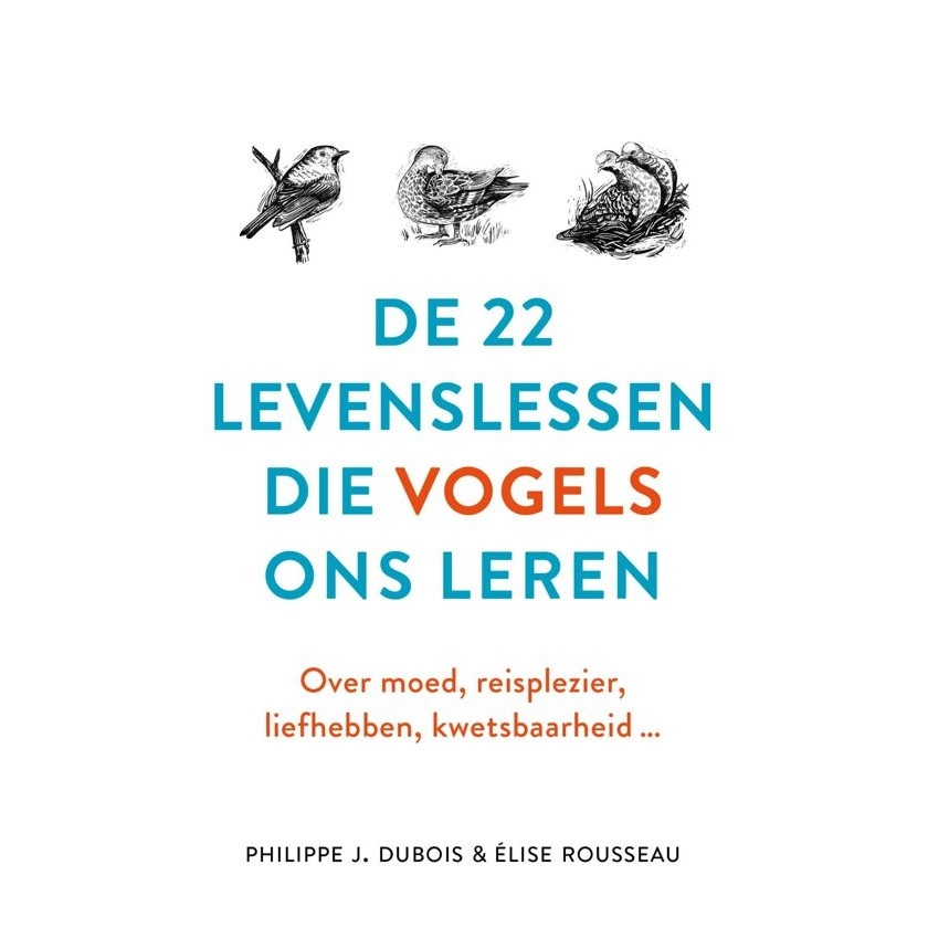 De 22 Levenslessen die Vogels ons leren