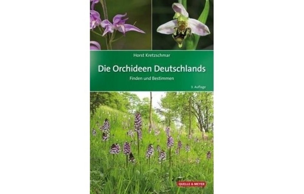 Die Orchideen Deutschlands und angrenzender Länder - Finden und Bestimmen