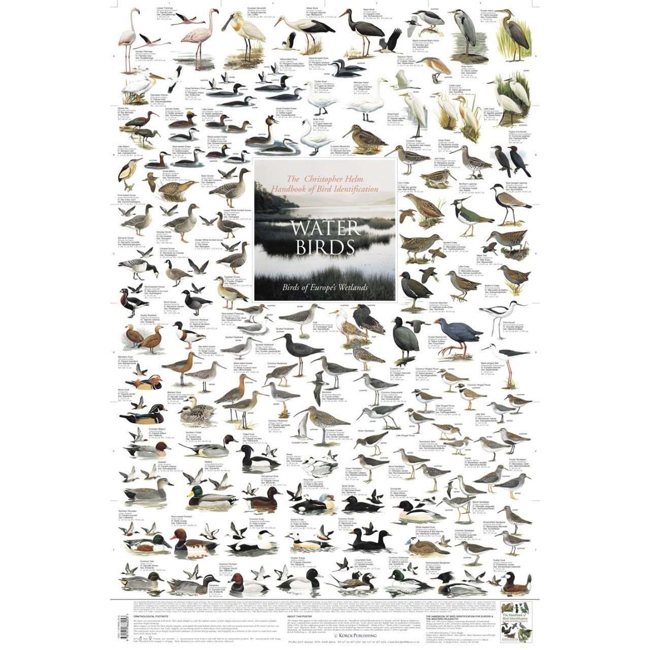 Water Birds of Europe's Wetlands Poster