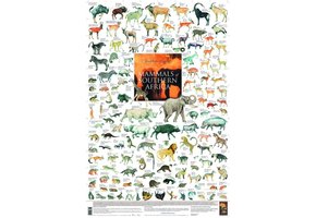 Mammals of Southern Africa Poster