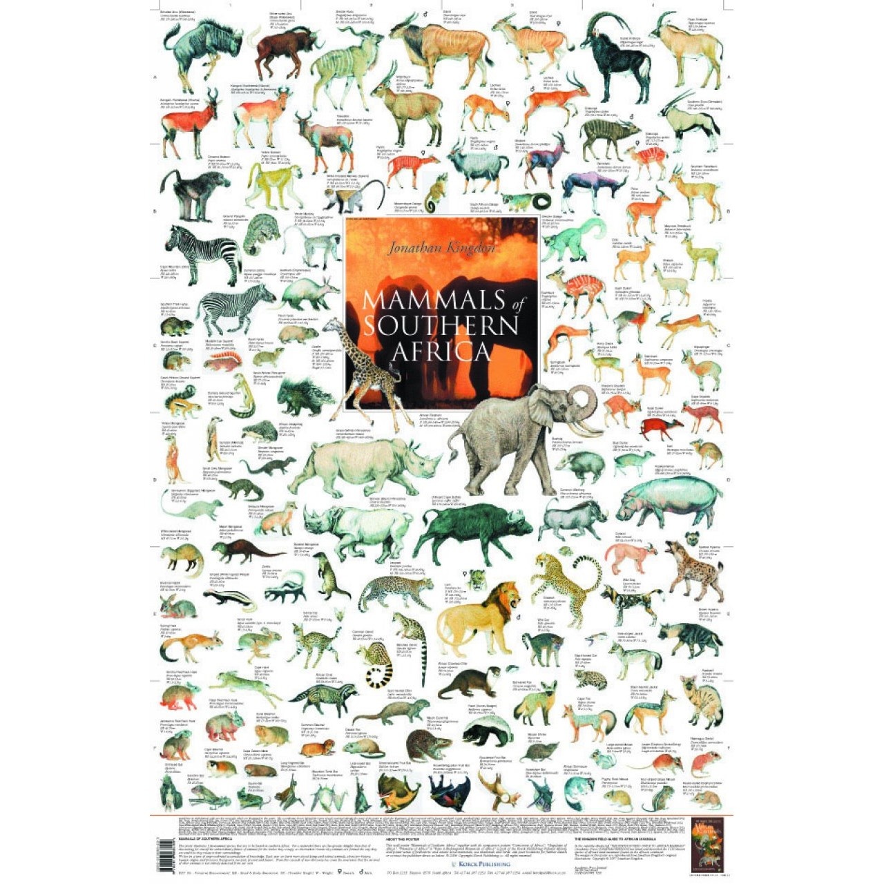 Mammals of Southern Africa Poster