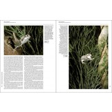 Handbook of the Mammals of the World, Vol. 5: Monotremes and Marsupials