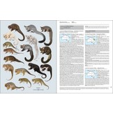 Handbook of the Mammals of the World, Vol. 5: Monotremes and Marsupials