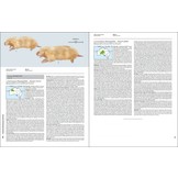 Handbook of the Mammals of the World, Vol. 5: Monotremes and Marsupials