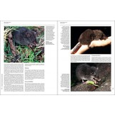 Handbook of the Mammals of the World, Vol. 5: Monotremes and Marsupials