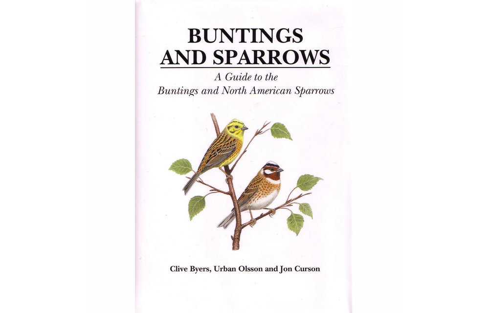 Buntings and Sparrows