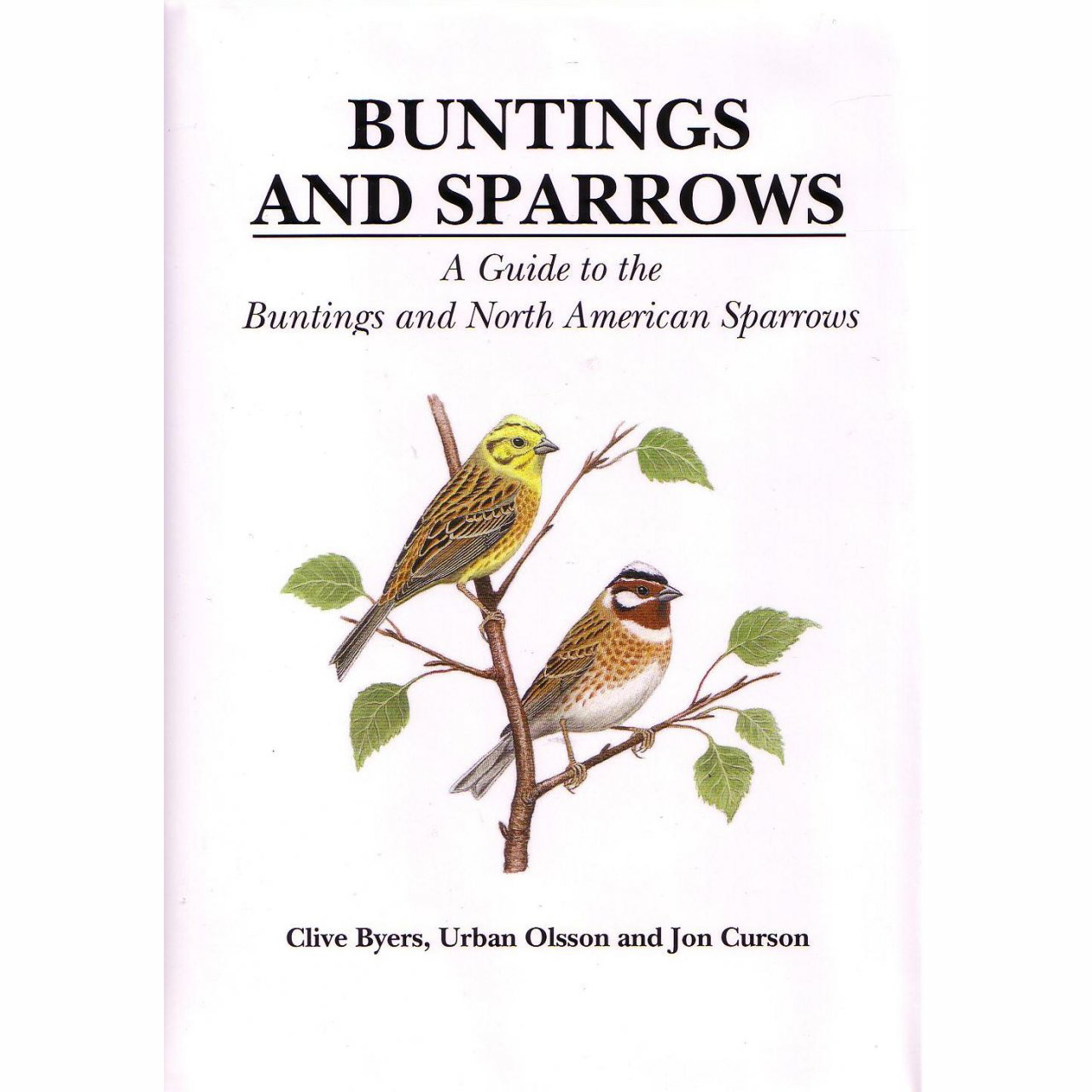 Buntings and Sparrows