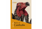 Birds of Cambodia
