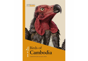 Birds of Cambodia