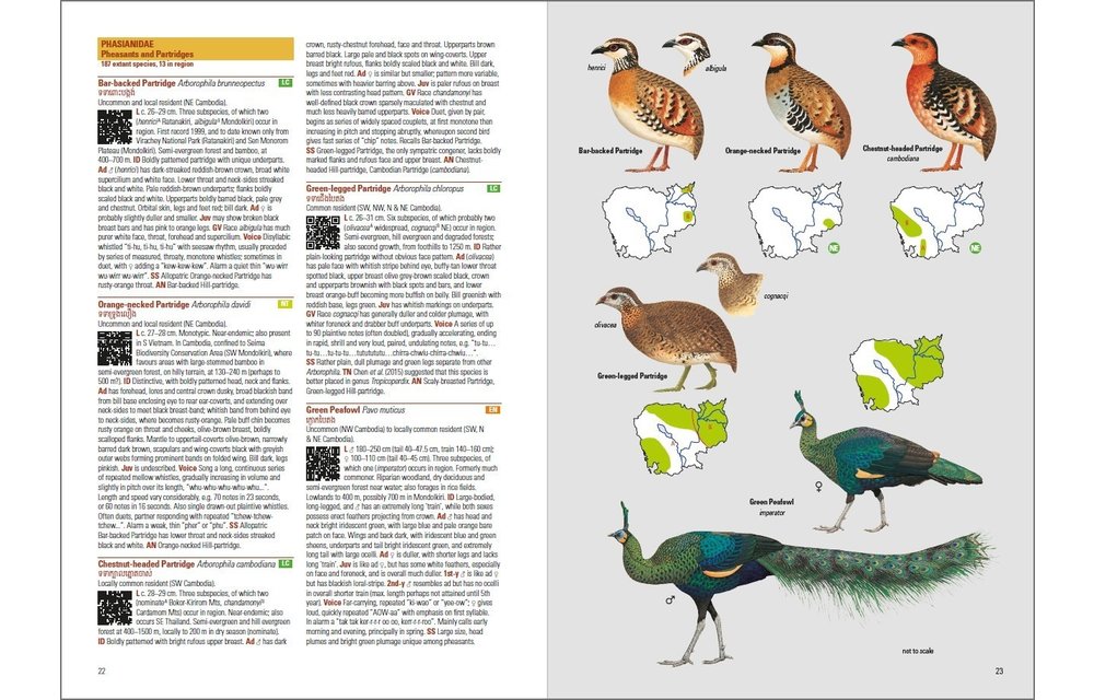 Birds of Cambodia