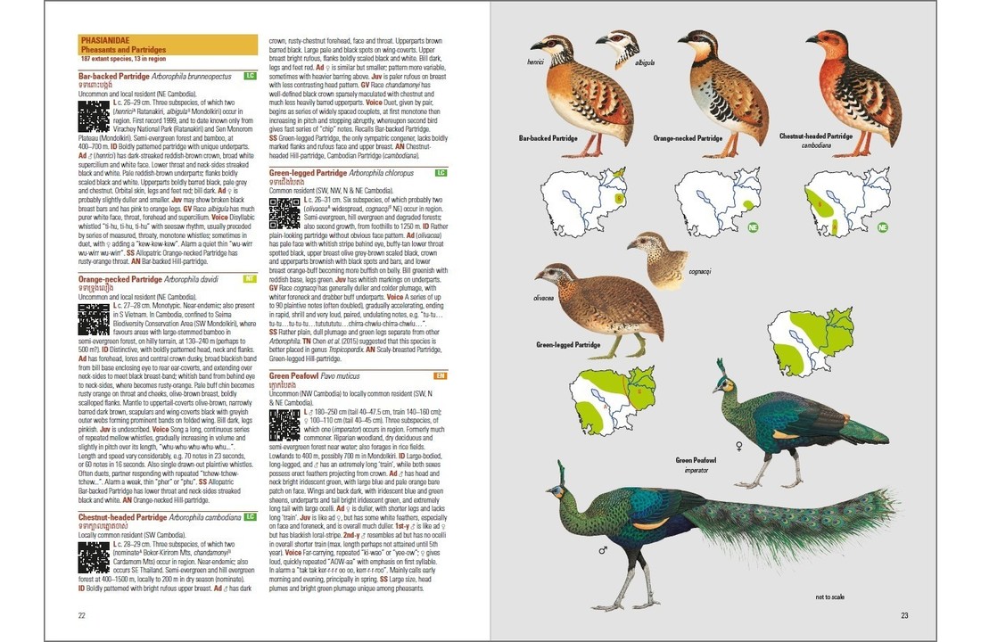 Birds of Cambodia
