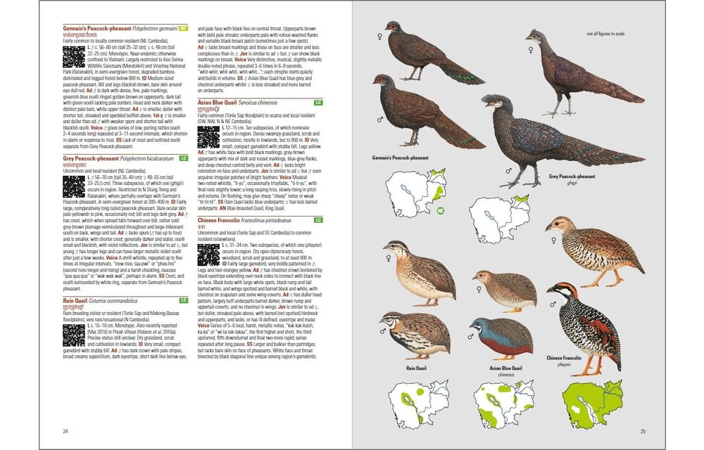 Birds of Cambodia