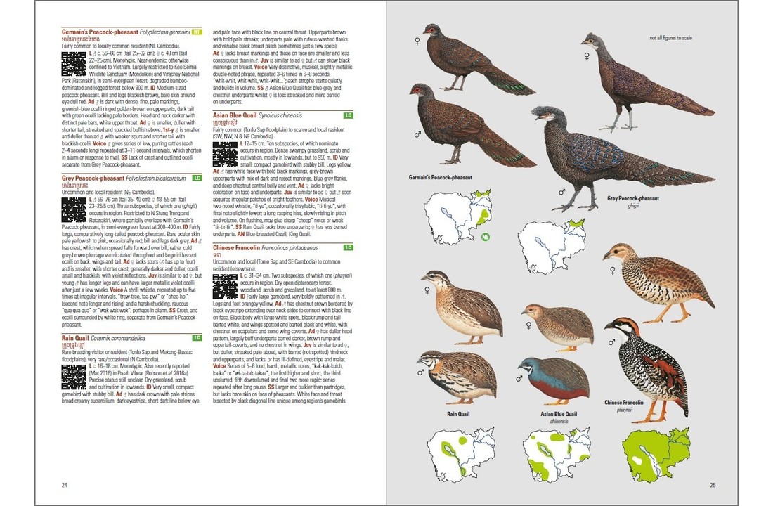 Birds of Cambodia