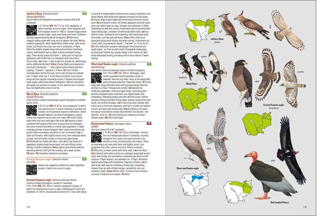 Birds of Cambodia