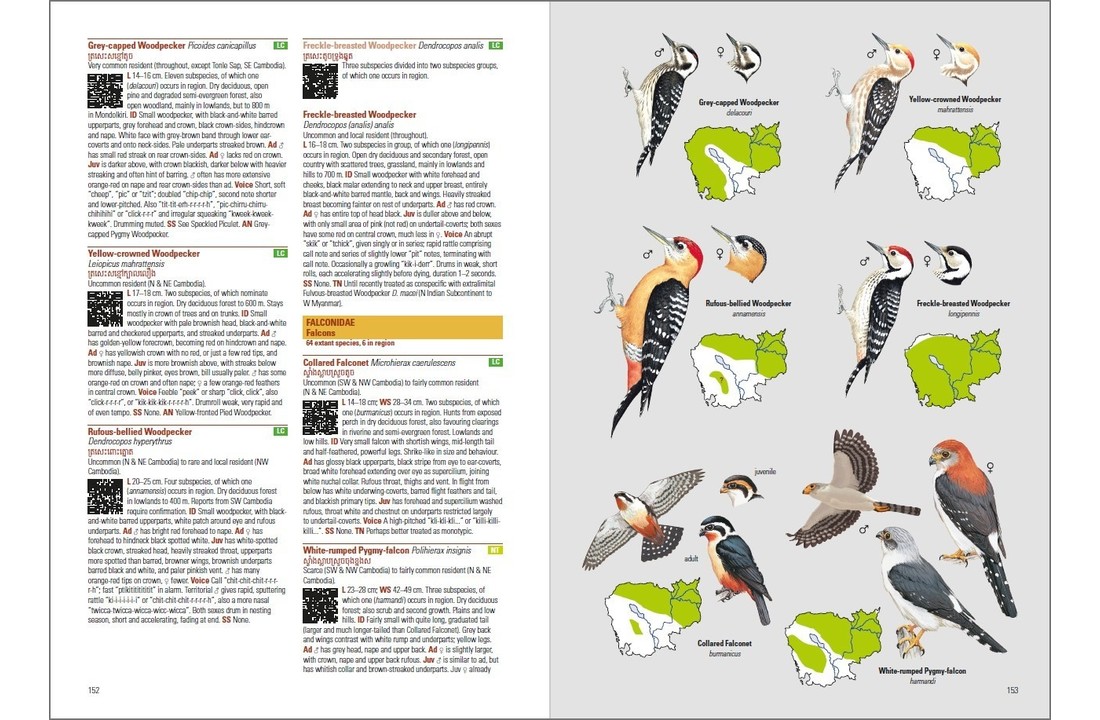 Birds of Cambodia