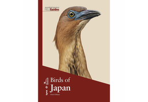 Birds of Japan