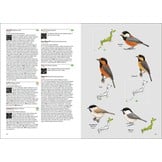 Birds of Japan