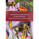 Feldbestimmungsschlüssel für die Hummeln Deutschlands, Österreichs und der Schweiz