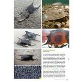 Basisgids Strandvondsten