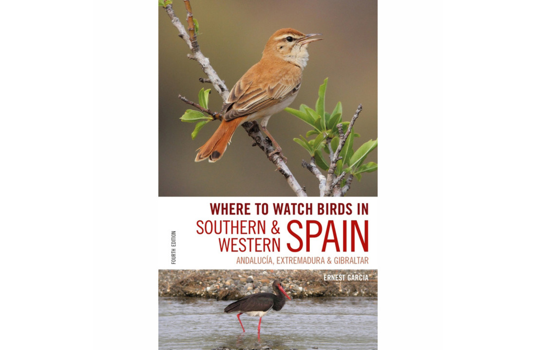 Where to watch birds in Southern and Western Spain