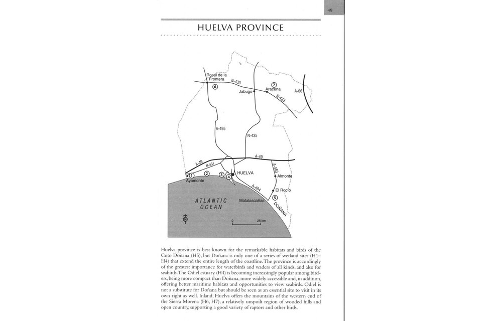 Where to watch birds in Southern and Western Spain
