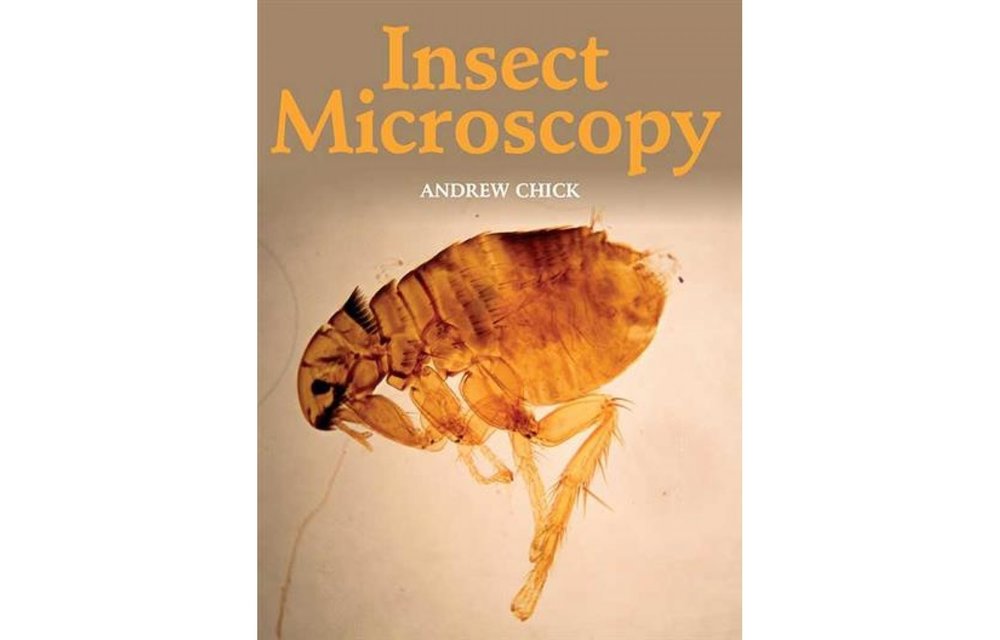 Insect Microscopy