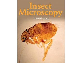 Insect Microscopy