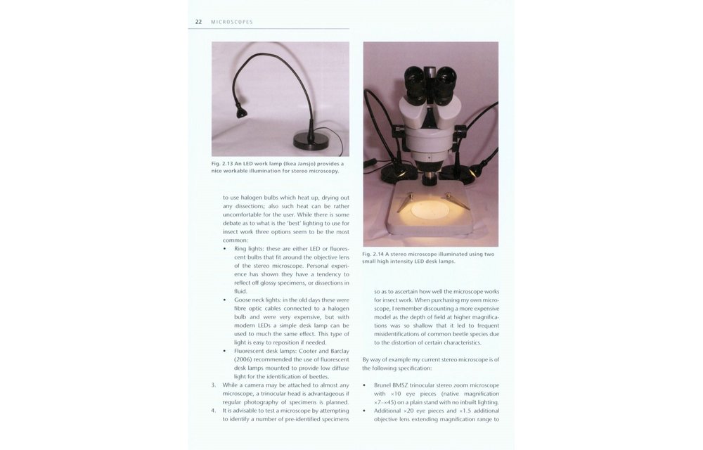 Insect Microscopy