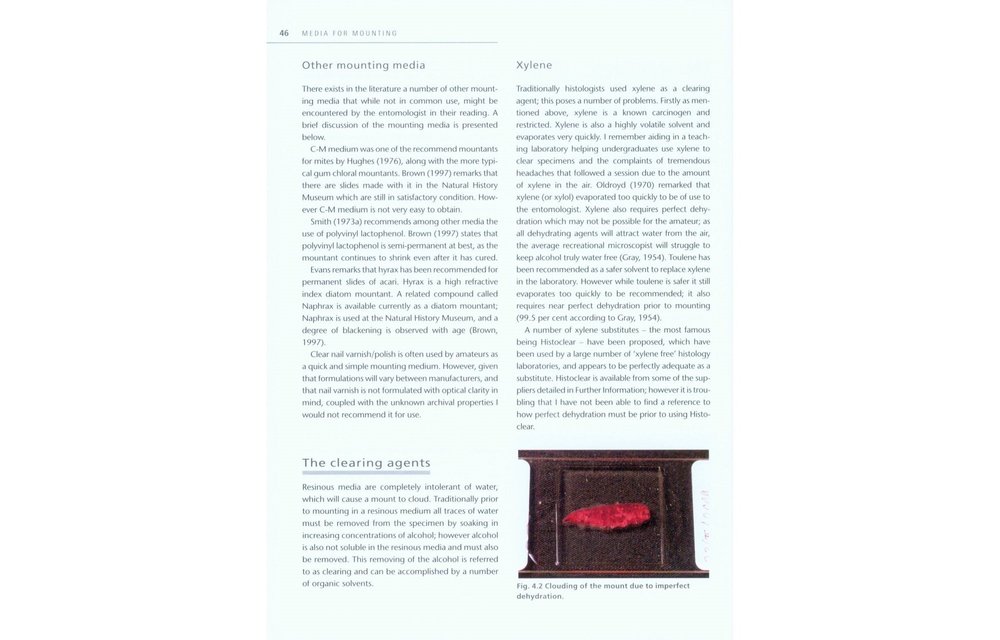 Insect Microscopy