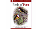Birds of Peru