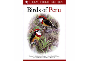 Birds of Peru