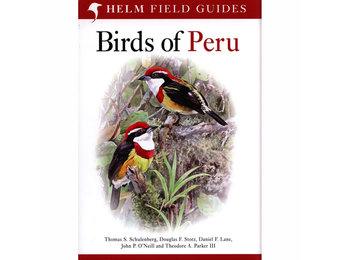 Birds of Peru
