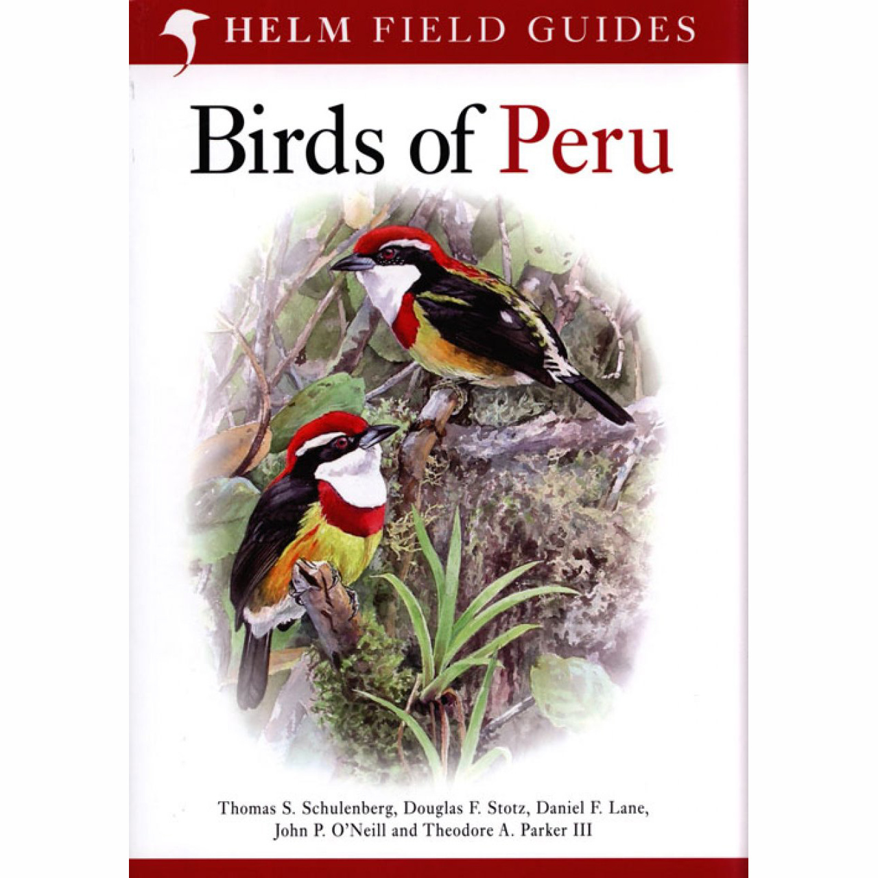 Birds of Peru