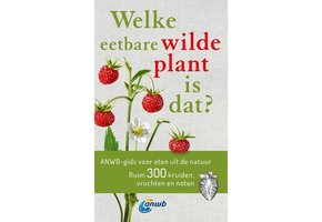 Welke eetbare wilde plant is dat?