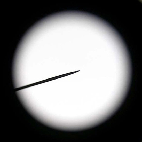 Erudit DLX 40x-1000x Biologische Microscoop