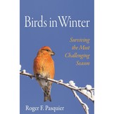 Birds in Winter - Surviving the Most Challenging Season