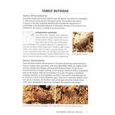 Scorpions of Southern Africa