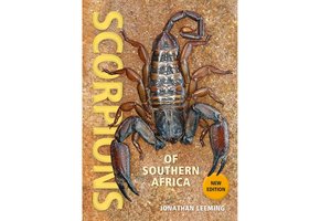 Scorpions of Southern Africa