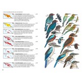 Birds of New Guinea