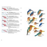 Birds of New Guinea