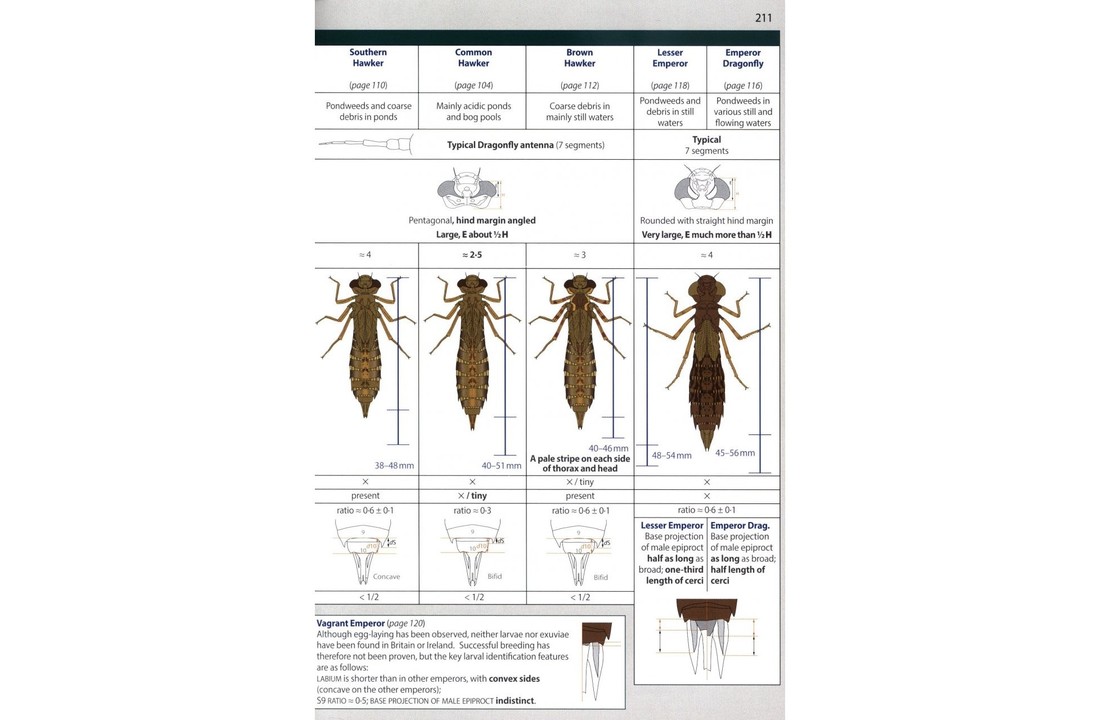 Britain's Dragonflies - A field guide to the damselflies and dragonflies of Great Britain and Ireland