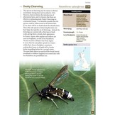 Britain's Day-Flying Moths - A field guide to the day-flying moths of Great Britain and Ireland