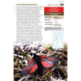 Britain's Day-Flying Moths - A field guide to the day-flying moths of Great Britain and Ireland