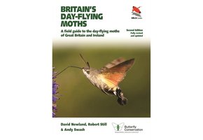 Britain's Day-Flying Moths